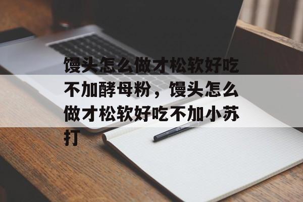 馒头怎么做才松软好吃不加酵母粉，馒头怎么做才松软好吃不加小苏打-第1张图片-