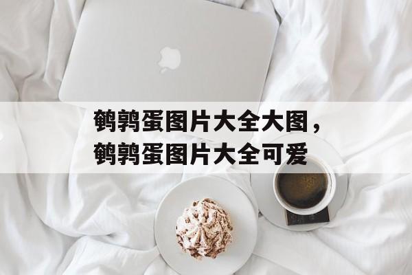 鹌鹑蛋图片大全大图，鹌鹑蛋图片大全可爱-第1张图片-