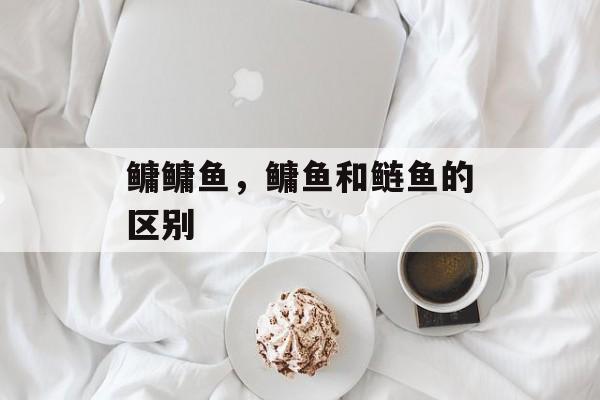 鳙鳙鱼，鳙鱼和鲢鱼的区别-第1张图片-
