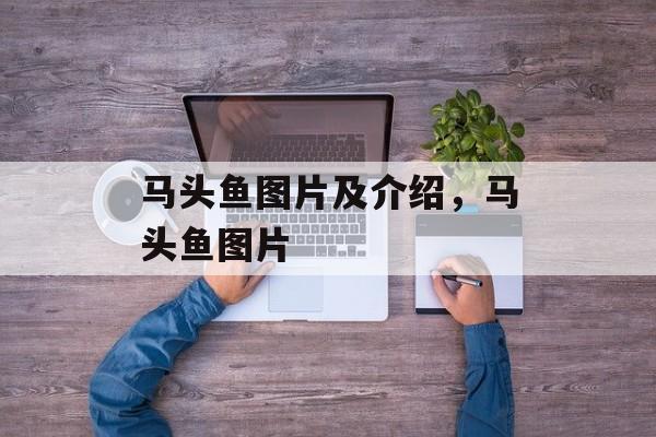 马头鱼图片及介绍，马头鱼图片-第1张图片-