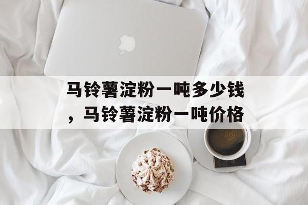 马铃薯淀粉一吨多少钱，马铃薯淀粉一吨价格-第1张图片-