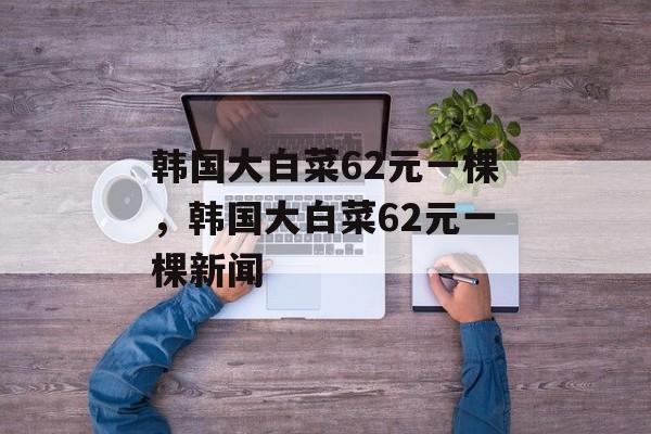 韩国大白菜62元一棵，韩国大白菜62元一棵新闻-第1张图片-
