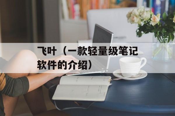 飞叶（一款轻量级笔记软件的介绍）-第1张图片-