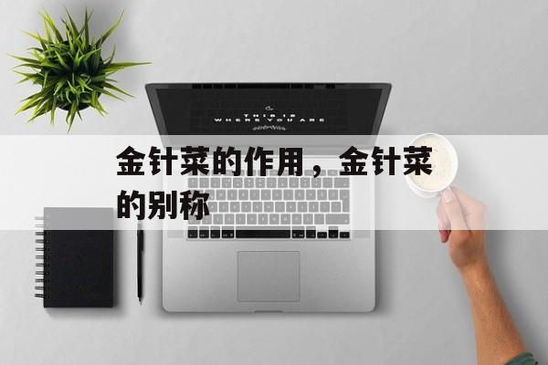金针菜的作用，金针菜的别称-第1张图片-