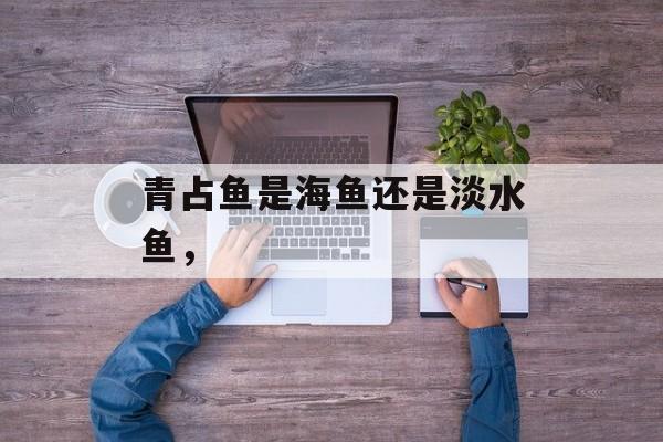 青占鱼是海鱼还是淡水鱼，-第1张图片-