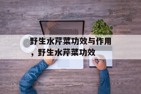 野生水芹菜功效与作用，野生水芹菜功效-第1张图片-