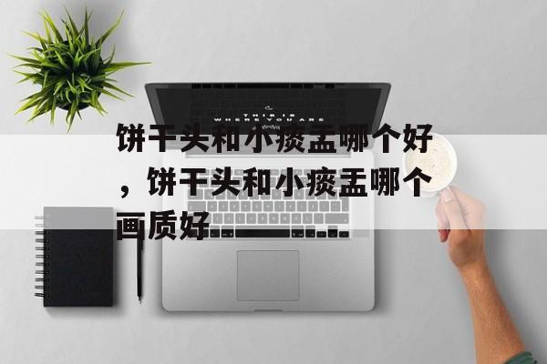 饼干头和小痰盂哪个好，饼干头和小痰盂哪个画质好-第1张图片-