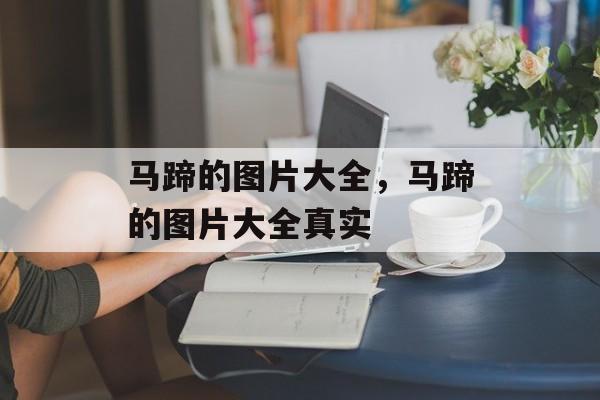 马蹄的图片大全，马蹄的图片大全真实-第1张图片-