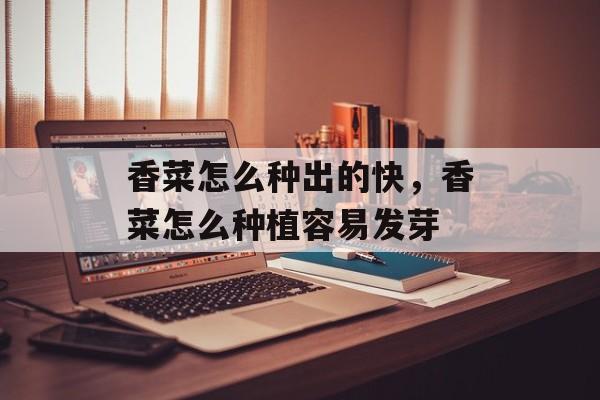 香菜怎么种出的快，香菜怎么种植容易发芽-第1张图片-