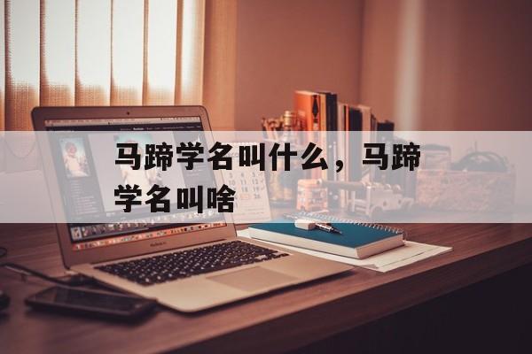 马蹄学名叫什么，马蹄学名叫啥-第1张图片-