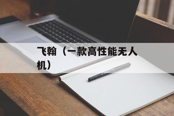 飞翰（一款高性能无人机）-第1张图片-
