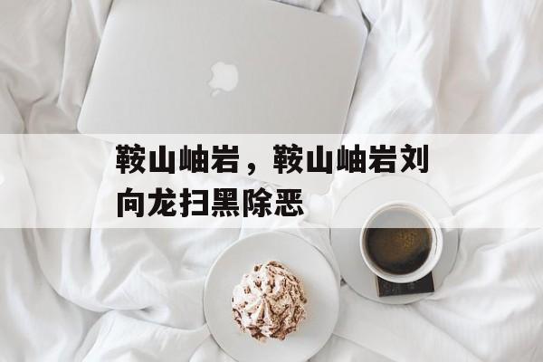 鞍山岫岩，鞍山岫岩刘向龙扫黑除恶-第1张图片-