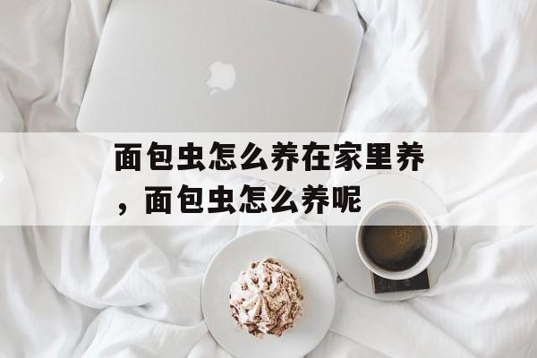 面包虫怎么养在家里养，面包虫怎么养呢-第1张图片-