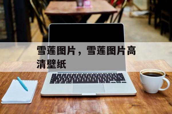 雪莲图片，雪莲图片高清壁纸-第1张图片-