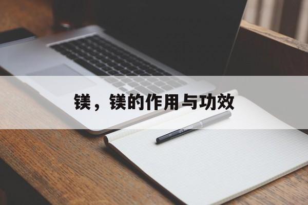 镁，镁的作用与功效-第1张图片-