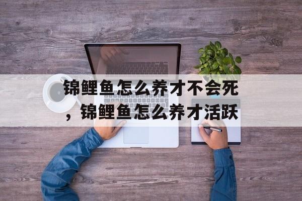 锦鲤鱼怎么养才不会死，锦鲤鱼怎么养才活跃-第1张图片-