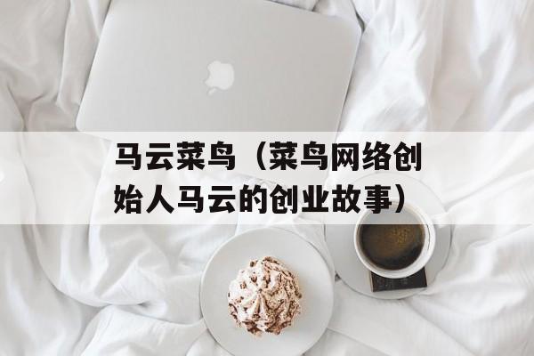 马云菜鸟（菜鸟网络创始人马云的创业故事）-第1张图片-