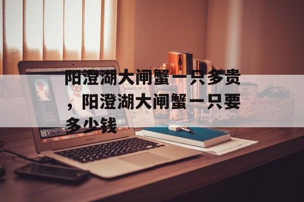 阳澄湖大闸蟹一只多贵，阳澄湖大闸蟹一只要多少钱-第1张图片-