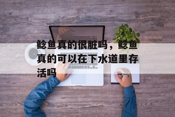 鲶鱼真的很脏吗，鲶鱼真的可以在下水道里存活吗-第1张图片-