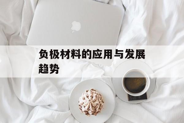 负极材料的应用与发展趋势-第1张图片-
