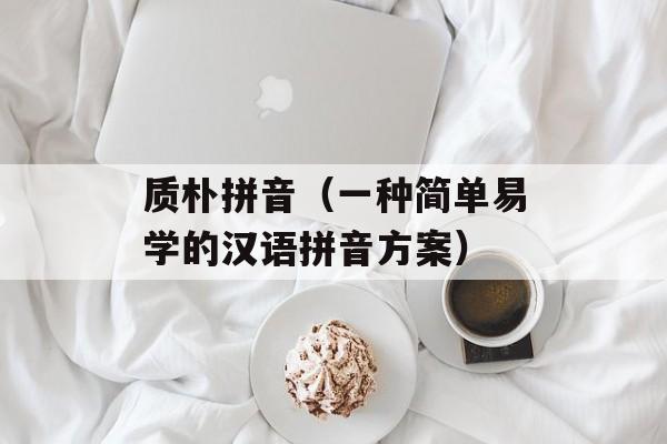 质朴拼音（一种简单易学的汉语拼音方案）-第1张图片-