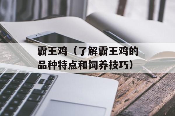 霸王鸡（了解霸王鸡的品种特点和饲养技巧）-第1张图片-