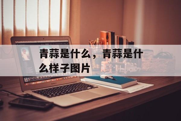 青蒜是什么，青蒜是什么样子图片-第1张图片-