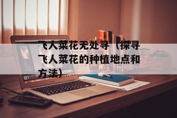 飞人菜花无处寻（探寻飞人菜花的种植地点和方法）-第1张图片-