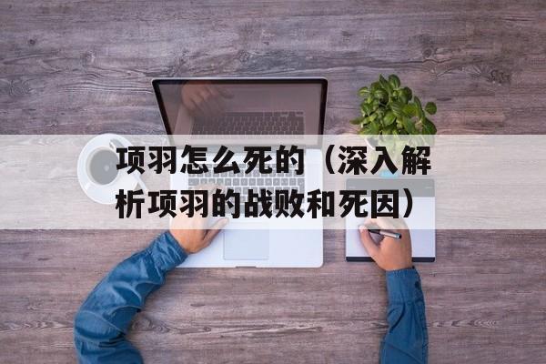 项羽怎么死的（深入解析项羽的战败和死因）-第1张图片-