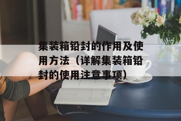集装箱铅封的作用及使用方法（详解集装箱铅封的使用注意事项）-第1张图片-