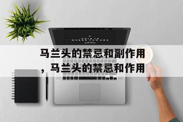 马兰头的禁忌和副作用，马兰头的禁忌和作用-第1张图片-