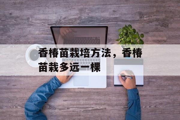 香椿苗栽培方法，香椿苗栽多远一棵-第1张图片-