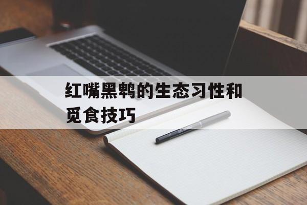 红嘴黑鹎的生态习性和觅食技巧-第1张图片-