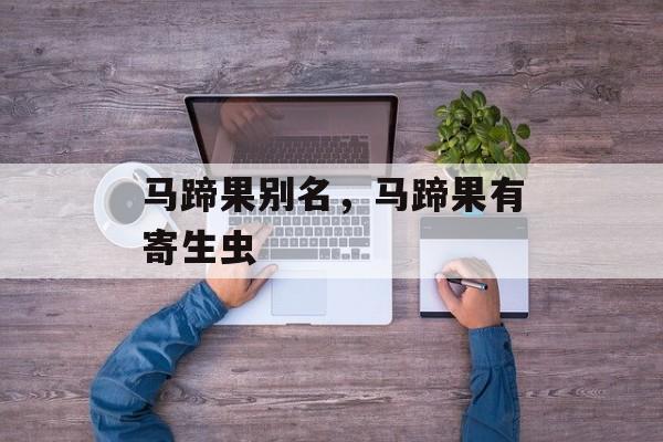 马蹄果别名，马蹄果有寄生虫-第1张图片-