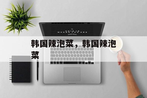 韩国辣泡菜，韩国辣泡菜-第1张图片-