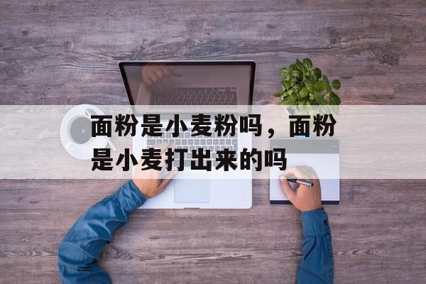 面粉是小麦粉吗，面粉是小麦打出来的吗-第1张图片-
