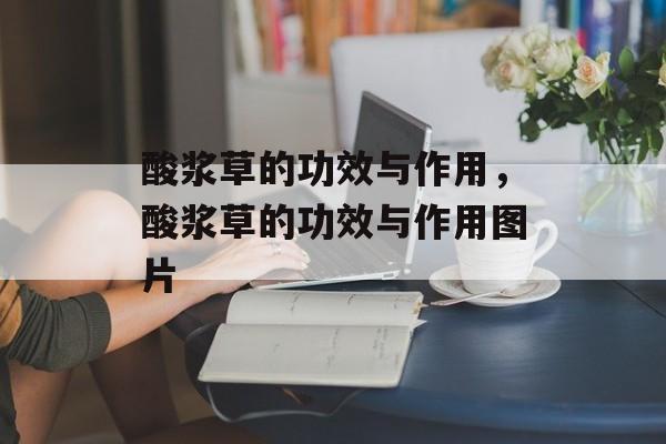 酸浆草的功效与作用，酸浆草的功效与作用图片-第1张图片-