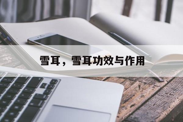 雪耳，雪耳功效与作用-第1张图片-