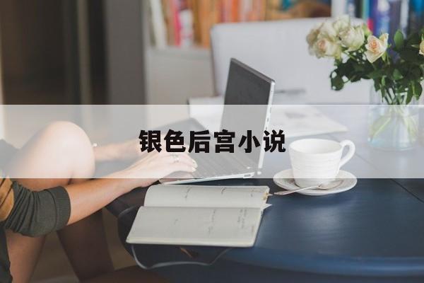 银色后宫小说-第1张图片-