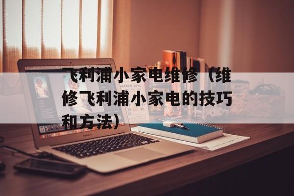 飞利浦小家电维修（维修飞利浦小家电的技巧和方法）-第1张图片-