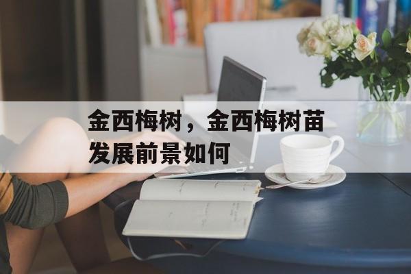 金西梅树，金西梅树苗发展前景如何-第1张图片-