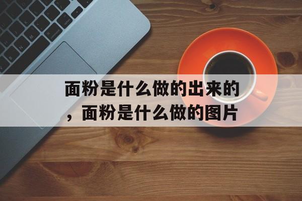 面粉是什么做的出来的，面粉是什么做的图片-第1张图片-