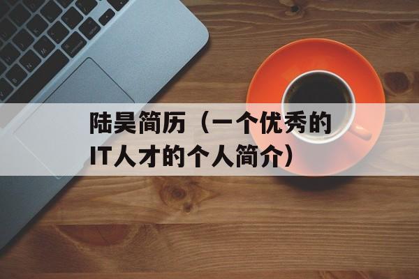 陆昊简历（一个优秀的IT人才的个人简介）-第1张图片-