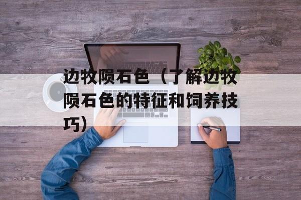 边牧陨石色（了解边牧陨石色的特征和饲养技巧）-第1张图片-