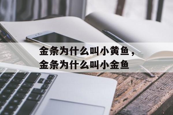 金条为什么叫小黄鱼，金条为什么叫小金鱼-第1张图片-