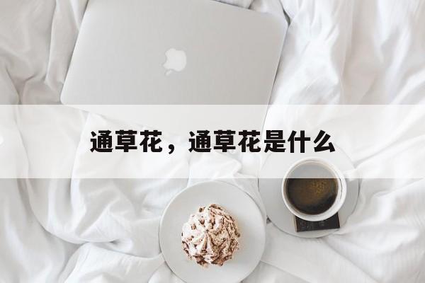 通草花，通草花是什么-第1张图片-