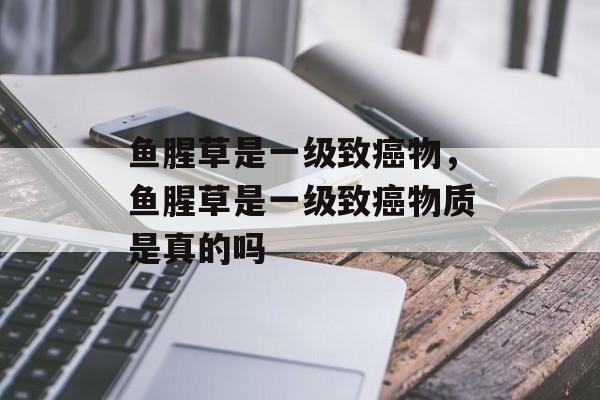 鱼腥草是一级致癌物，鱼腥草是一级致癌物质是真的吗-第1张图片-