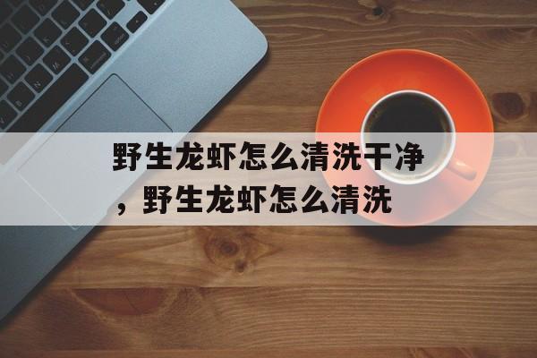 野生龙虾怎么清洗干净，野生龙虾怎么清洗-第1张图片-