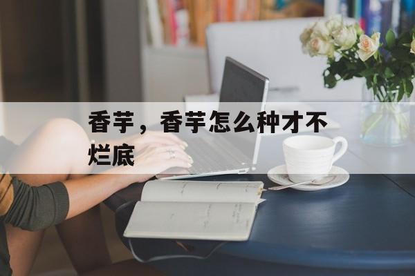 香芋，香芋怎么种才不烂底-第1张图片-