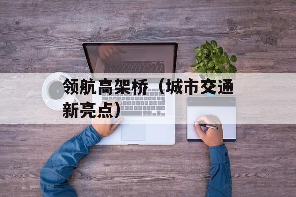 领航高架桥（城市交通新亮点）-第1张图片-